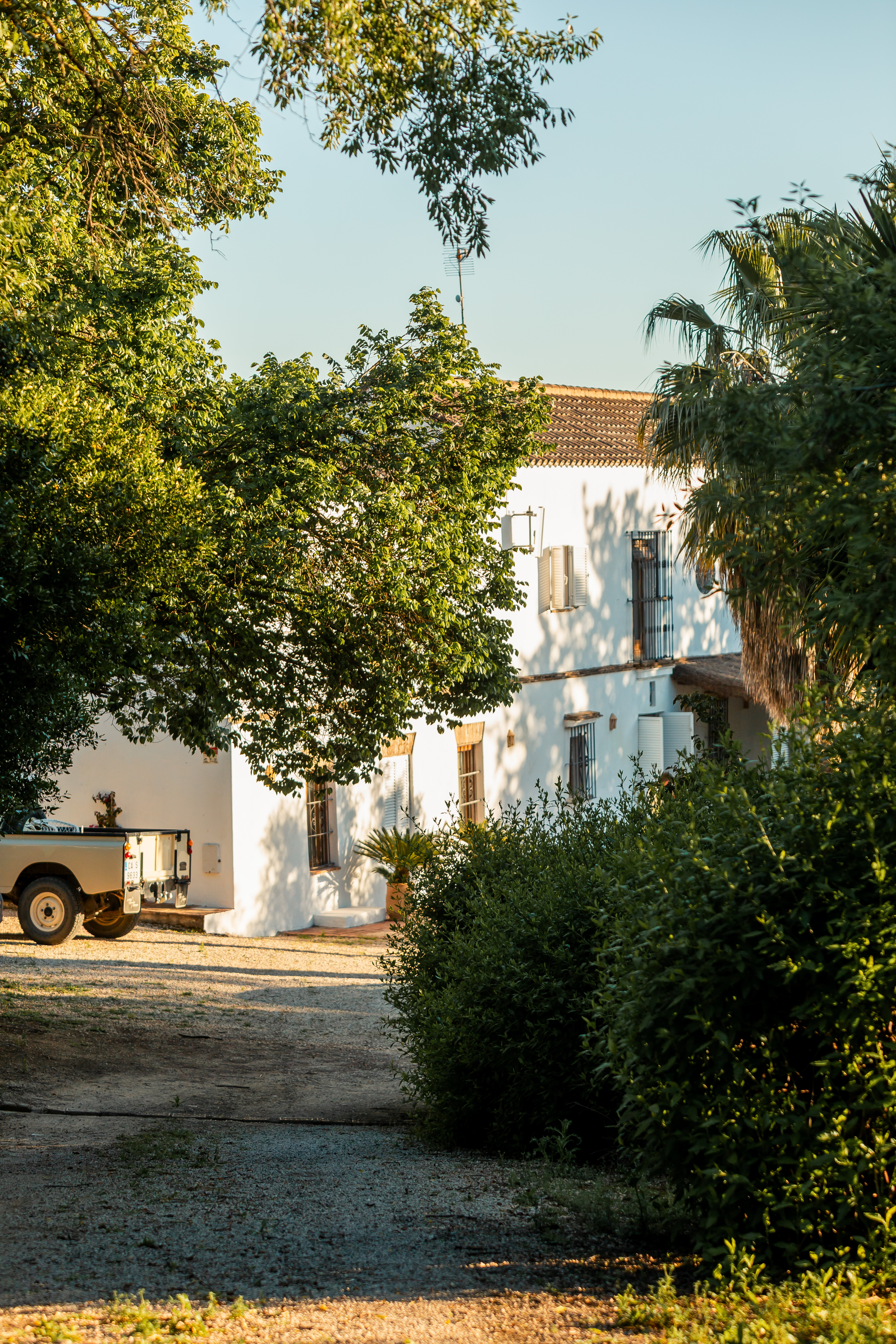 Llegada al Cortijo