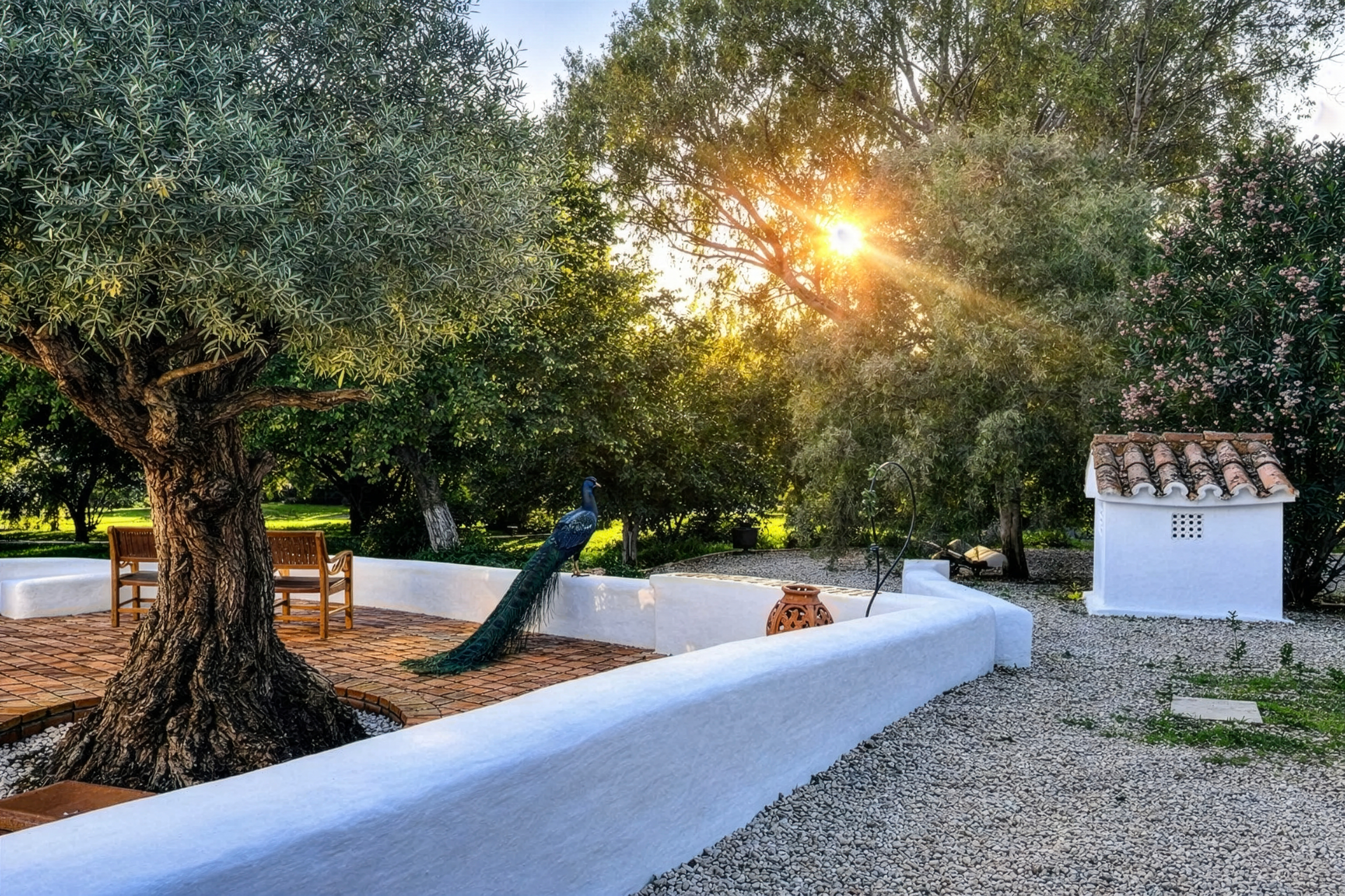 Contacto Cortijo Bablou