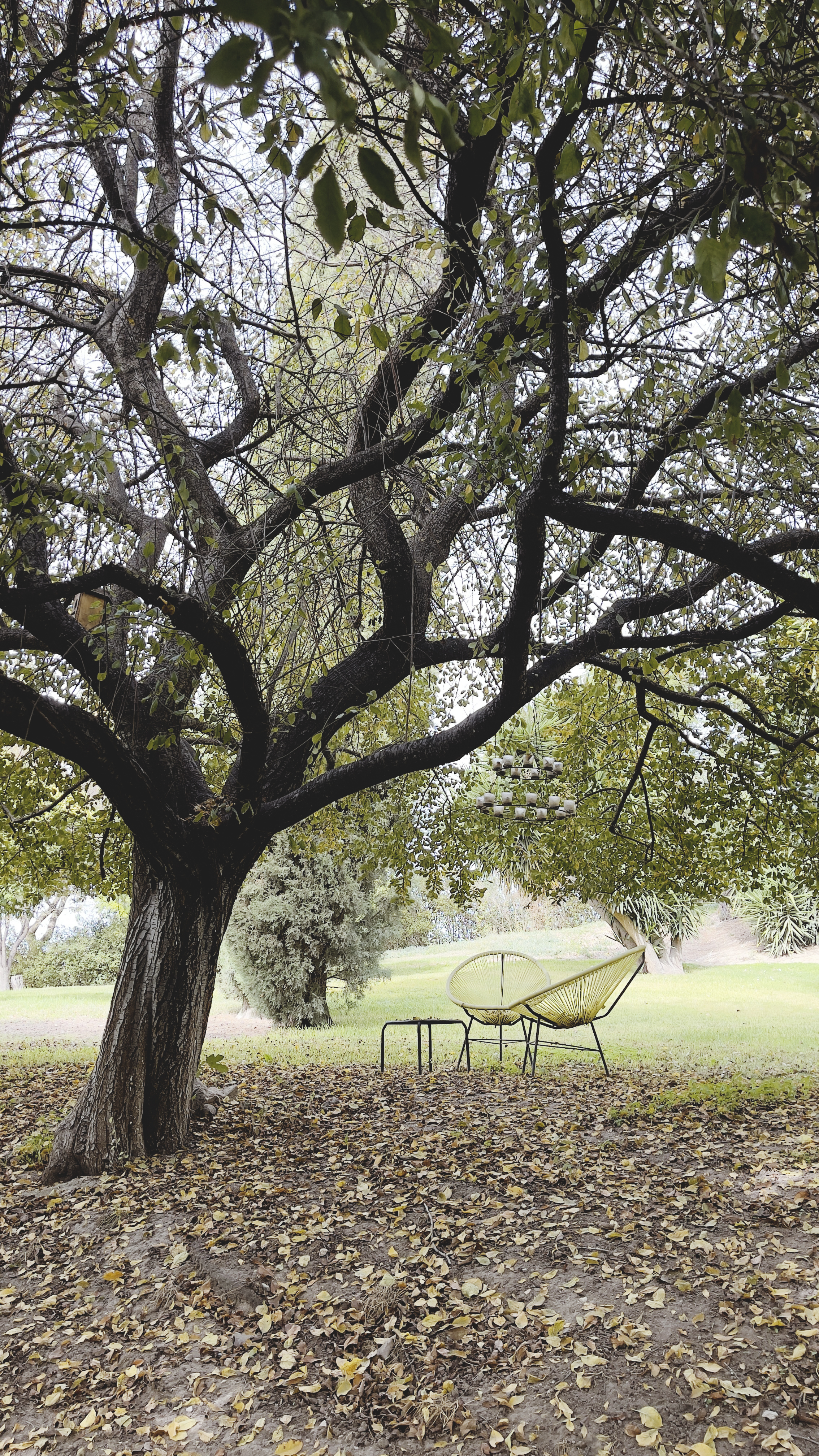 Rincón exterior del cortijo